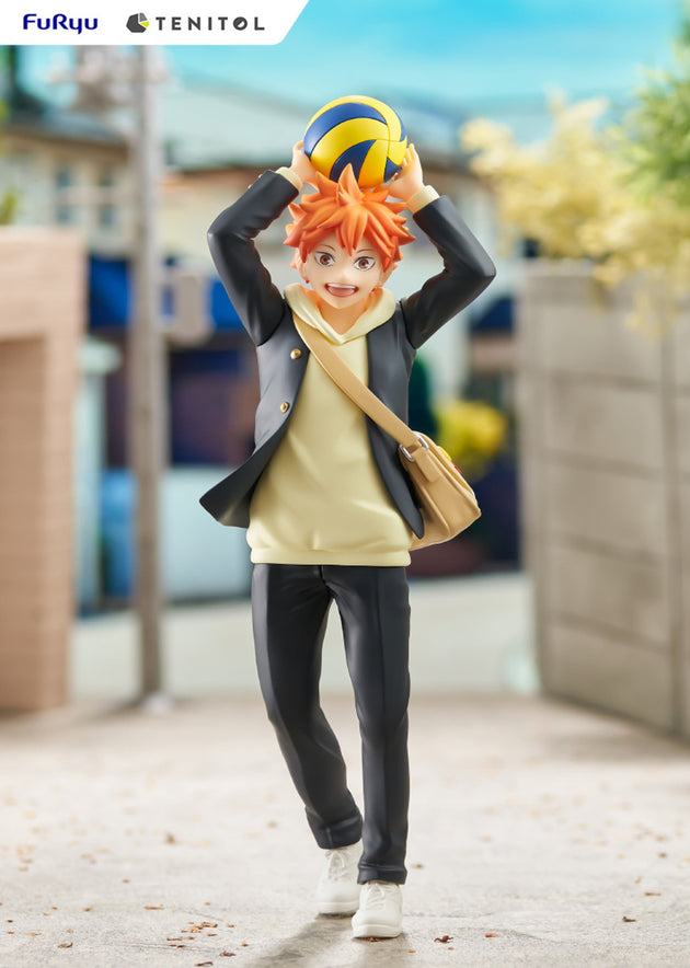 Haikyu!!: TENITOL HINATA SHOYO (FURYU Corporation)