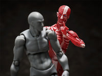 figma: Human Anatomical Model